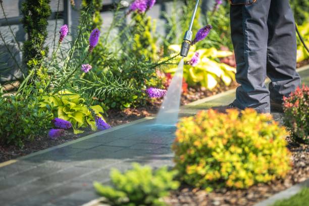 Best Gutter Cleaning  in Earlysville, VA