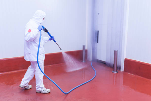 Best Sign and Awning Cleaning  in Earlysville, VA