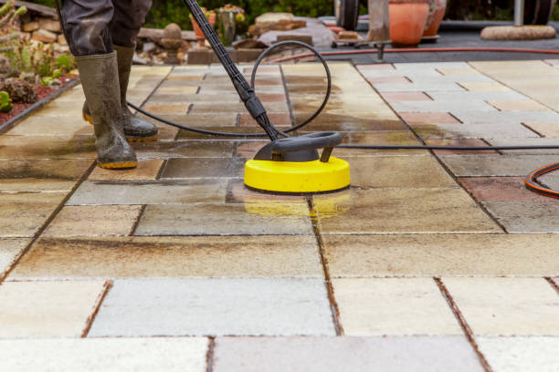 Best Pre-Holiday Cleaning  in Earlysville, VA