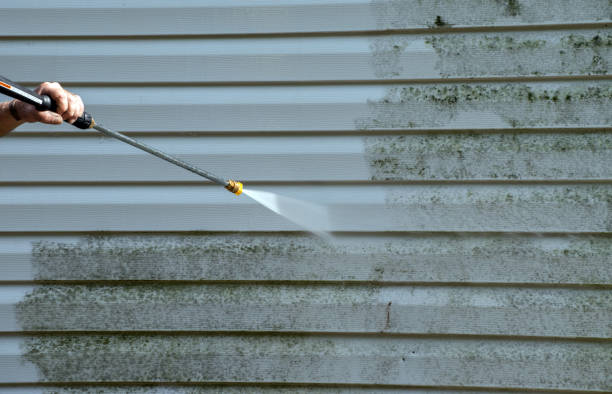 Best Dumpster Area Cleaning  in Earlysville, VA